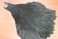 Metz Grade 1 Hen Cape Dyed Black