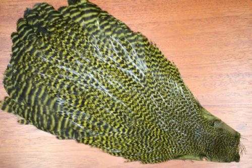 Hareline Hen Grizzly Dyed Olive