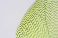 Mallard Flank Dyed Chartreuse