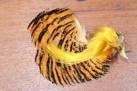 Golden Pheasant Head Natural 2nd Quality 