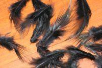 Cock Pheasant Rump Feathers Dyed Black 5 gram.Pack