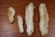 Snowshoe Rabbit Feet Natural Cream