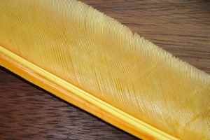 Turkey Biot Quills Sulphur Orange