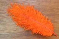 Salmon Turbo Plumes Hot Orange