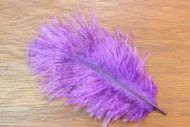 Salmon Turbo Plumes Purple