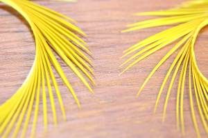 Goose Biots Golden Olive