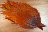 Medium Brown