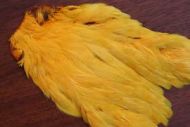 Indian Hen Cape Dyed Sunburst Yellow