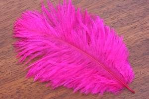 Salmon Turbo Plumes Hot Fuchsia