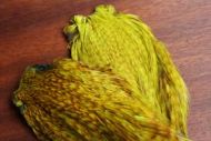 Dyed Indian Barred Cock Capes Light And Dark Olive Yellow