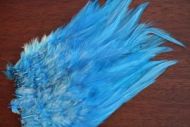 Strung Cock Saddle Hackles Kingfisher Blue