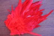 Strung Cock Saddle Hackles Red