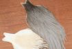 Whiting Hen Capes