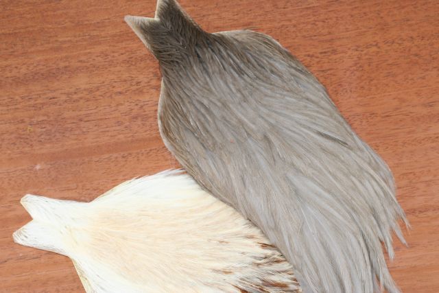 Whiting Hen Capes