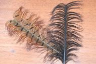 Veniards Knotted Tail Piece Black
