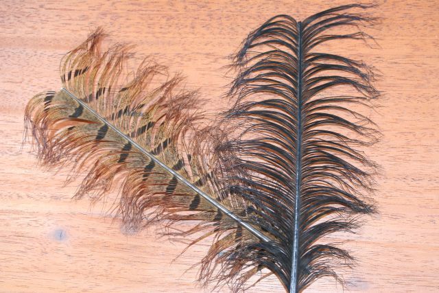 Veniard Cock Pheasant Knotted Tail Piece 