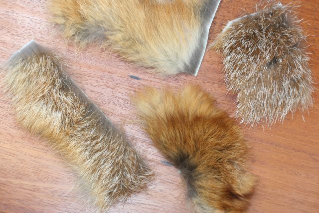 Red Fox Skin Patch