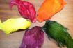 Lathkill Dyed Indian Cock Capes
