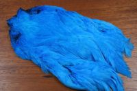 Lathkill Dyed Indian Broiler Hen Cape Teal Blue