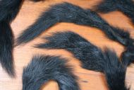 Grey Squirrel Tail Dyed Black