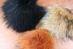 Raccoon Dog Fur