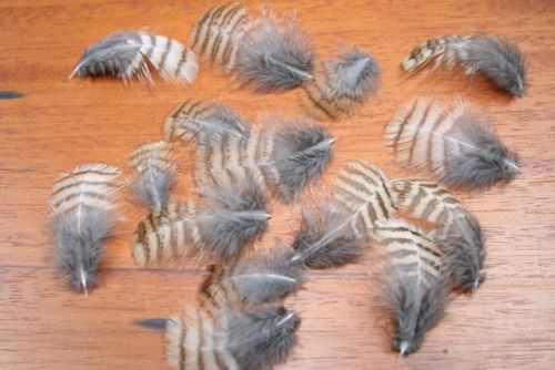 Woocock Belly Plumage 1 Gram Pack