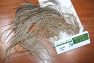 Whiting Hebert Pro Grade Saddle Natural Medium Dun