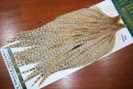 Whiting  Hebert Miner Pro Grade Cock Cape Barred Medium Ginger