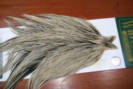 Whiting Hebert Silver Grade Cock Cape Silver Badger