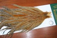 Whiting Hebert Silver Grade Cock Cape Cree
