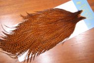 Whiting High And Dry Cock Cape Grizzly Fiery Brown