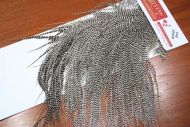 Whiting Pro Grade Saddle Midge Grizzly