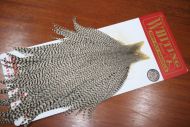 Whiting Bronze Grade Cape Grizzly