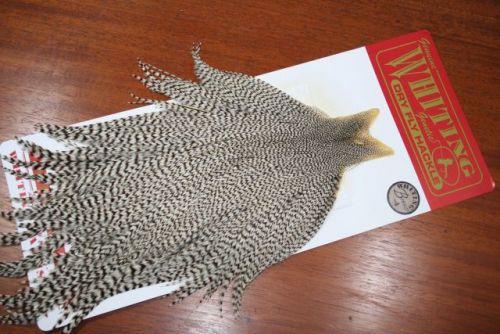 Whiting Bronze Grade Cape Grizzly
