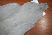 Whiting 4B Hen Cape Medium Dyed Dun