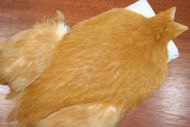 Whiting 4B Hen Cape Medium Ginger