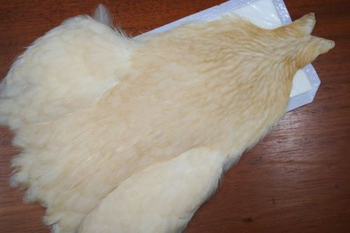 Whiting 4B Hen Cape Light Ginger