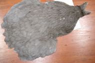 Whiting 4B Hen Cape Dyed Dark Dun