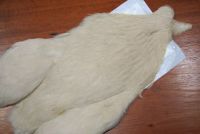 Whiting 4B Hen Cape Pale Watery Dun