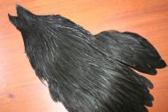 Lathkill Genetic Hen Cape Dyed Black