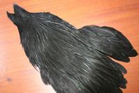 Lathkill Genetic Hen Cape Dyed Black