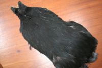 Lathkill Genetic Hen Cape Natural Black