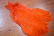 Lathkill Genetic Hen Cape Orange/Burnt Orange