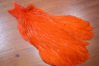Lathkill Genetic Hen Cape Orange/Burnt Orange