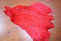 Lathkill Genetic Hen Cape Red