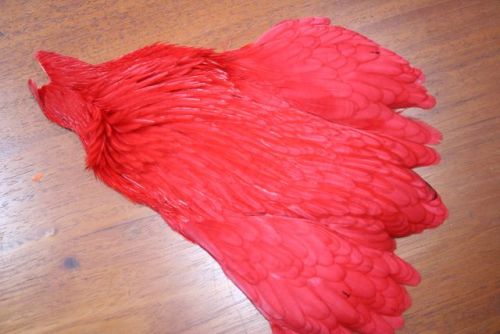 Lathkill Genetic Hen Cape Red