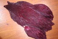 Lathkill Genetic Hen Cape Claret