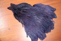 Lathkill Genetic Hen Cape Purple/Dark
