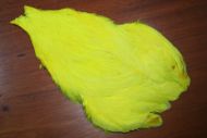 Lathkill Genetic Hen Cape Flo. Yellow