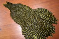 Lathkill Genetic Hen Cape Grizzle Dyed Olive